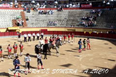 Galeria da corrida de 30 Abril na Palha Blanco